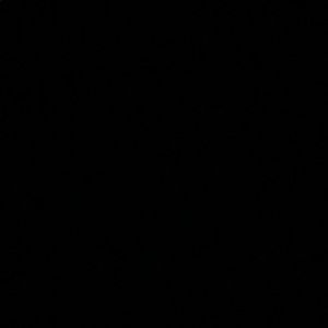 Meet your Posher, Genesis